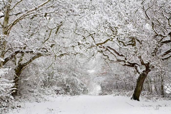 The snow storm by ralph waldo emerson