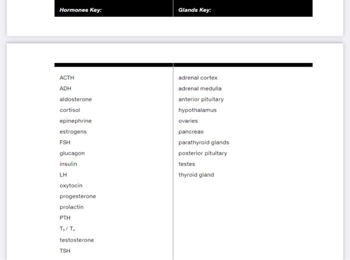 Review sheet functional anatomy of the endocrine glands