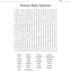 Human body systems crossword puzzle answer key