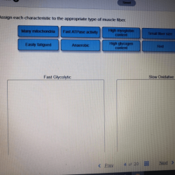 Assign characteristic chegg