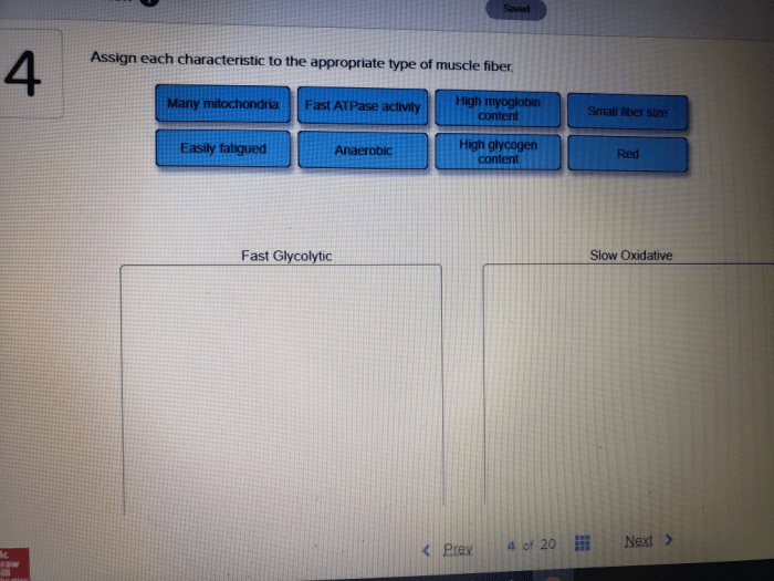 Assign characteristic chegg